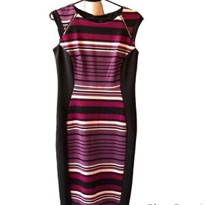 ENFOCUS Studio Size 6 Sleeveless Career Dress Striped and Color Bloc…